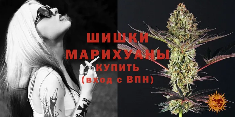 продажа наркотиков  Киреевск  Шишки марихуана Amnesia 